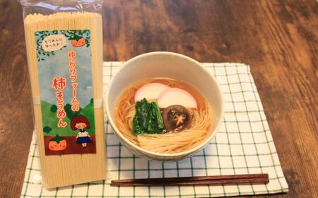 そうめん 紀北 かつらぎ特産 たねなし柿そうめん【入金確認後、１週間以内を目途に発送】【BQ001-yrrf001】