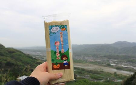 そうめん 紀北 かつらぎ特産 たねなし柿そうめん【入金確認後、１週間以内を目途に発送】【BQ001-yrrf001】