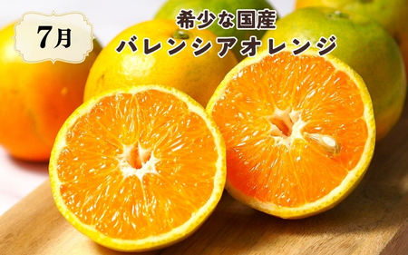 【7・8・10月 全3回】紀州和歌山産旬のフルーツセット(バレンシアオレンジ・桃・ひらたねなし柿)【UT79】【Z91142-tkb】