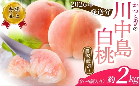 【ふるなびWEEK対象】桃 白桃 川中島白桃 約2kg 6~8個入【秀品】【BK013-kgr011A-week】