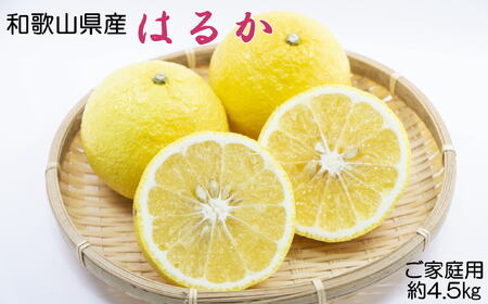 【訳あり・ご家庭用】【さわやか柑橘】和歌山県産はるかみかん約4.5kg（サイズ混合）【2026年2月下旬～2026年3月下旬頃順次発送】【TM161】【TM92222-tec954】
