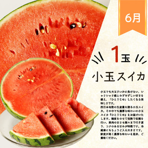 【6・7・9月 全3回】紀州和歌山産旬のフルーツセット(スイカ・バレンシアオレンジ・巨峰)【UT94】【Z91151-tkb396】