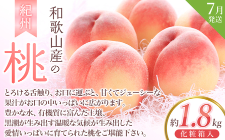 【2～3・7・9月 全3回】紀州和歌山産旬のフルーツセット（いちご・桃・ピオーネ）【UT95】【Z91152-tkb401】