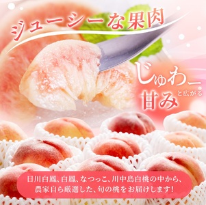 桃 白桃 【2026年発送先行予約】桃 極上秀品 約2kg 6~8個入 こだわり農家厳選【先行予約】【2026年7月末から8月末順次発送】【KG19】【BK022-kgr001A】