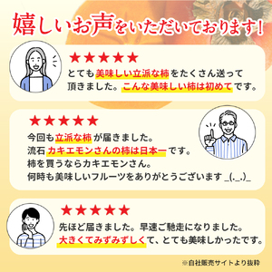 柿 カキエモン農園のたねなし柿 約5kg 20個前後 【2026年9月下旬～11月上旬頃順次発送】【BX002-kkem002A】