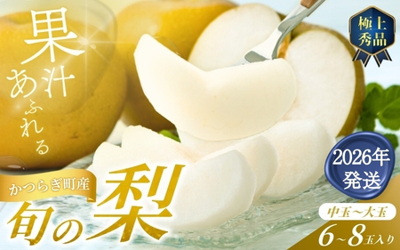【2026年発送分先行予約】 旬の梨 極上 秀品（中玉～大玉）6～8個入り 【2026年8月中旬～9月中旬頃発送予定】【KG23】【BK023-kgr015】