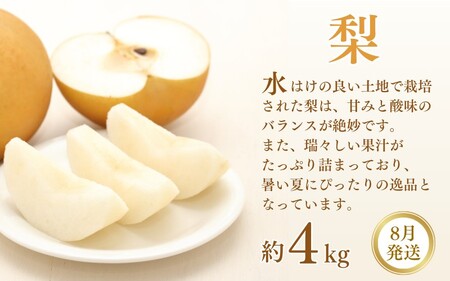 定期便全3回 【7月・8月・9月発送】 和歌山の夏のフルーツをお届け（桃・梨・たねなしピオーネ）【TM179】【TM92236-tkb114】