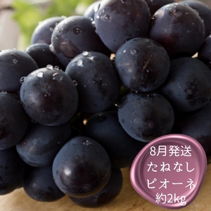 定期便全3回 【7月・8月・9月発送】 和歌山のフルーツをお届け（桃・たねなしピオーネ・シャインマスカット）【TM180】【TM92235-tkb360】