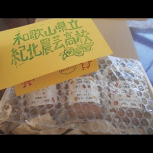 ☆紀北農芸高校生が作った☆おすすめ無添加ジャム３種セット【順次発送】 [KF12]【A272-frks165】