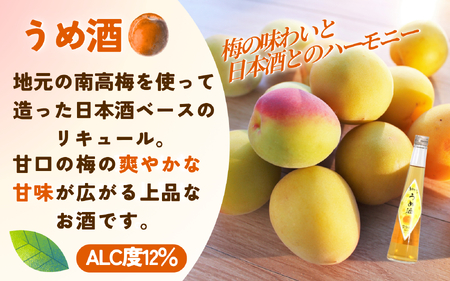 和歌山こだわりリキュール 紀州フルーツの酒3本ギフト ［HS1］【H001-hts001B】