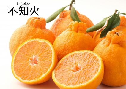 ★2025年2月中旬～★おすすめフレッシュ柑橘３種詰合せ(約4kg)
