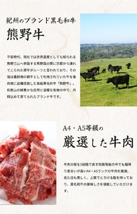 【定期便 全3回】紀州和歌山うまいもんセットB（生まぐろ・うなぎ蒲焼・熊野牛）【UT126】【Z91166-tkb387】