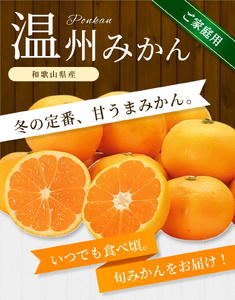 【家庭用】 森本農園の手選別 みかん 約1.5kg 和歌山県産 2S~2Lサイズ混合 【北海道・沖縄・離島配送不可】【2025年11月上旬～2026年2月中旬ごろに順次発送】【RN6】【BV90006-mrmt006】