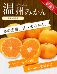 【訳あり】 森本農園の手選別 みかん 約6kg 和歌山県産 2S~2Lサイズ混合 【北海道・沖縄・離島配送不可】【2025年11月上旬～2026年2月中旬ごろに順次発送】【RN9】【BV90009-mrmt009】
