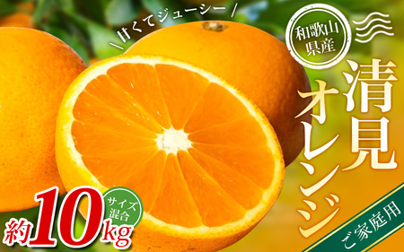 【家庭用】 森本農園の手選別 清見オレンジ 約10kg 和歌山県産 サイズ混合 【北海道・沖縄・離島配送不可】【2026年2月上旬～5月中旬頃に順次発送】【RN39】【BV90039-mrmt039A】 7,200円