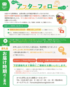【訳あり】 森本農園の手選別 清見オレンジ 約6kg 和歌山県産 サイズ混合 【北海道・沖縄・離島配送不可】【2026年2月上旬～5月中旬頃に順次発送】【RN24】【BV90024-mrmt024A】