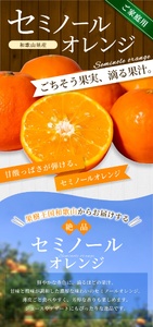 【家庭用】 森本農園の手選別 セミノールオレンジ 約4.5kg 和歌山県産 サイズ混合 【北海道・沖縄・離島配送不可】【2026年4月中旬~5月中旬頃に順次発送】【RN27】【BV90027-mrmt027】