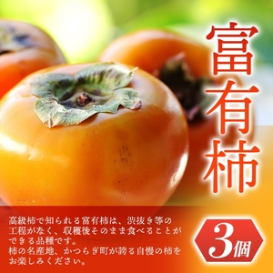 柿 みかん 道の駅くしがきの里セット 富有柿3個・温州みかん約30個の詰め合わせ こだわり農家厳選【2026年11月初旬頃から2026年12月中旬頃順次発送】【KG29】【BK029-kgr022】
