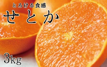 とろける食感！ジューシー柑橘　せとか　約3kg【予約】【2026年2月下旬頃～2026年3月下旬頃発送(お届け日指定不可)】【Z-uot816A】