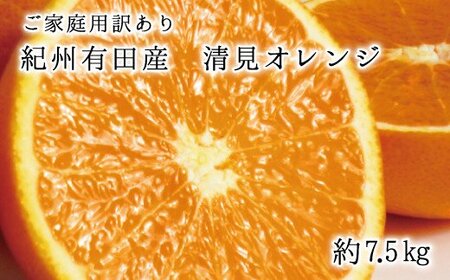 【訳あり・ご家庭用】紀州有田産清見オレンジ　約7.5kg【 2026年3月下旬頃～2026年4月中旬頃に順次発送予定(お届け日指定不可)】【Z-uot862】