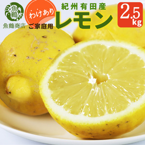 【訳あり・ご家庭用】紀州有田産レモン　約2.5kg【予約】 レモン れもん 果物 柑橘【2026年3月上旬頃～2026年3月中旬頃に順次発送予定(お届け日指定不可)】【Z-uot861】