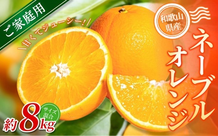 【家庭用】 森本農園の手選別ネーブルオレンジ 約8kg 和歌山県産 サイズ混合 【北海道・沖縄・離島配送不可】【2026年1月上旬～2月中旬頃に順次発送】【BV-mrmt046】