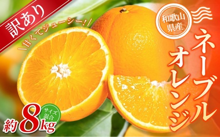 【訳あり】 森本農園の手選別ネーブルオレンジ 約8kg 和歌山県産 サイズ混合 【北海道・沖縄・離島配送不可】【2026年1月上旬～2月中旬頃に順次発送】【BV-mrmt047】