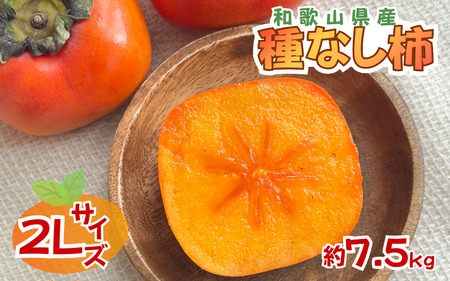 柿 採れたてタネなし柿“2L”サイズ約7.5kg【2026年10月中旬～10月下旬頃発送予定】【ART18】【G017-art020A】