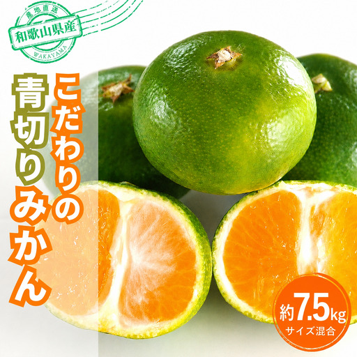 【ご家庭用】【農家直送】こだわりの青切りみかん 約7.5kg  有機質肥料100%　 サイズ混合　【2026年9月下旬～10月中旬頃発送予定（お届け日指定不可）】【CE-nuk107E】