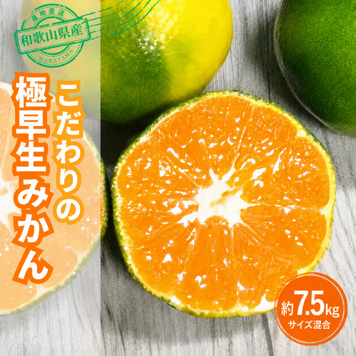 【ご家庭用】 【農家直送】こだわりの極早生みかん 約7.5kg 【数量限定】 有機質肥料100% サイズ混合 【2026年9月下旬～10月中旬頃発送予定（お届け日指定不可）】 有田産【CE-nuk136D】