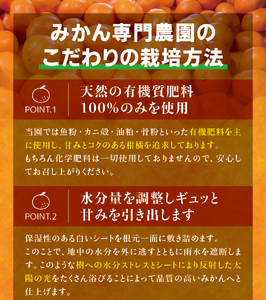 【農家直送】有田みかん 約7.5kg 大玉3L以上 有機質肥料100% 【2025年12月初旬～1月中旬に順次発送(お届け日指定不可)】 / みかん ミカン 温州みかん 柑橘 有田 和歌山 産地直送【CE-nuk158B】