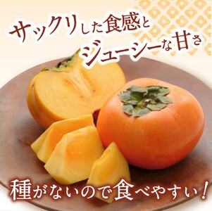 柿 お試しに！カキエモン農園のたねなし 柿 約2kg 【2026年9月下旬～11月上旬頃順次発送】【BX-kkem006A】