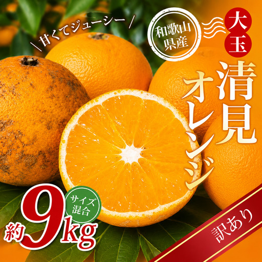大玉清見オレンジ 【訳あり】 森本農園の手選別 約9kg 和歌山県産 サイズ混合 【北海道・沖縄・離島配送不可】【2026年2月上旬～5月中旬頃に順次発送】【BV-mrmt078】