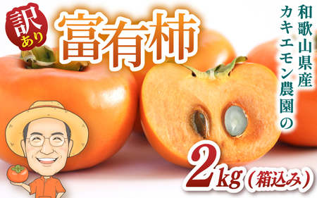 富有柿 約2kg(箱込) 【訳あり・ご家庭用】カキエモン農園 【2026年11月下旬～12月下旬頃順次発送】【BX-kkem031】