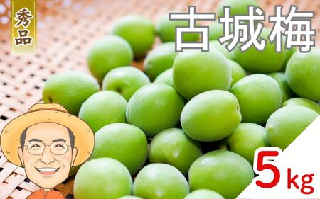 古城梅 約5kg (＋補償100g)【秀品】 L～Mサイズ カキエモン農園【BX-kkem022】