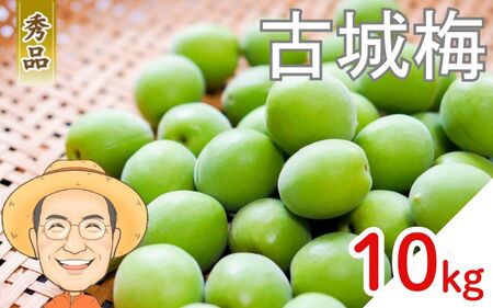 古城梅 約10kg (＋補償100g)【秀品】 L～Mサイズ カキエモン農園【BX-kkem023】