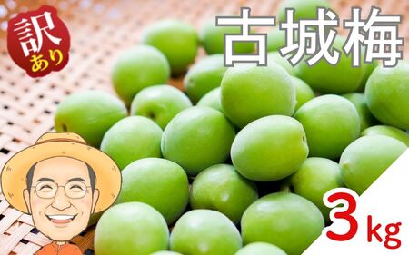 古城梅 約3kg (＋補償100g)【訳あり】 サイズ不揃い カキエモン農園【BX-kkem024】