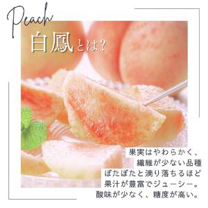 桃 白鳳 約4kg 箱 (13～15個) 【秀品】 カキエモン農園【BX-kkem028】