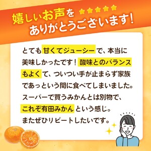 有田みかん 約10kg＋250g(傷み補償分) 【1月発送】【ご家庭用】農家直送 こだわりの 完熟【CE-nuk101-01】
