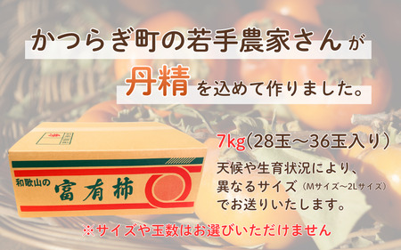 柿 富有柿 かつらぎの陽だまりが育てた富有柿約7.5kg【2026年11月上旬~12月上旬頃発送予定】【A-frks183】