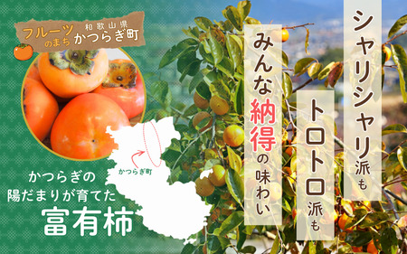 柿 富有柿 かつらぎの陽だまりが育てた富有柿約7.5kg【2026年11月上旬~12月上旬頃発送予定】【A-frks183】