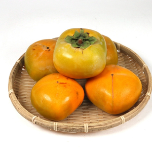 家庭用 たねなし柿 約7.5kg【AQ-ikd728】