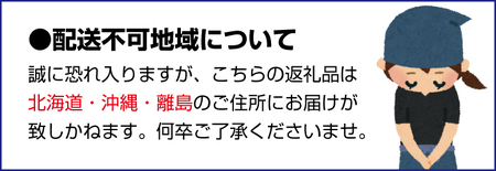 森本農園の手選別 せとか 約5kg 和歌山県産 サイズ混合 【北海道・沖縄・離島配送不可】【1月下旬～4月末頃順次発送】/ せとか 蜜柑 フルーツ 果物 くだもの 食品 人気 おすすめ 送料無料【BV-mrmt090】