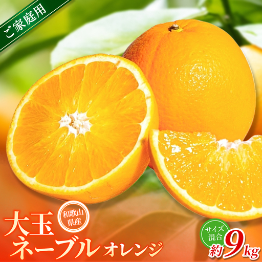 瀬戸田産 ネーブルオレンジ 20kg サイズ混合 楽天市場】【広島県瀬戸田産ネーブルオレンジ5kg】箱入り 1〜2級 M