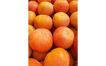 柿 【訳あり・ご家庭用】和歌山秋の味覚 富有柿 約7.5kg【2026年11月上旬頃~2026年12月上旬頃発送予定】【UT47】【Z015-uot719A】