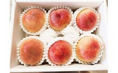 紀州和歌山産の桃　約1.8kg　化粧箱入【2026年6月下旬頃～2026年8月上旬頃に順次発送予定】【UT52】【Z016-uot720-2】