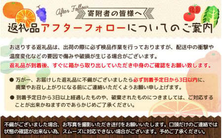 【梅干・梅酒用】（4Lまたは3L－2Kg）熟南高梅＜2025年6月上旬～7月7日発送予定＞【ART10】【G201-art006A】