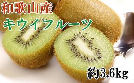 和歌山かつらぎ町産キウイフルーツ約3.6kg（玉数おまかせ）秀品★2025年1月上旬頃より順次発送