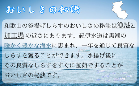 冷凍釜揚げしらす約1kg【AN003-dig003】