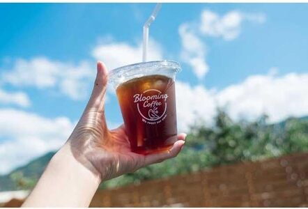 自家焙煎珈琲【こだわり３種セット】（粉）【A200-frks096】